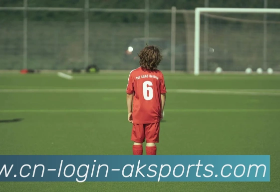 App Interface Preview